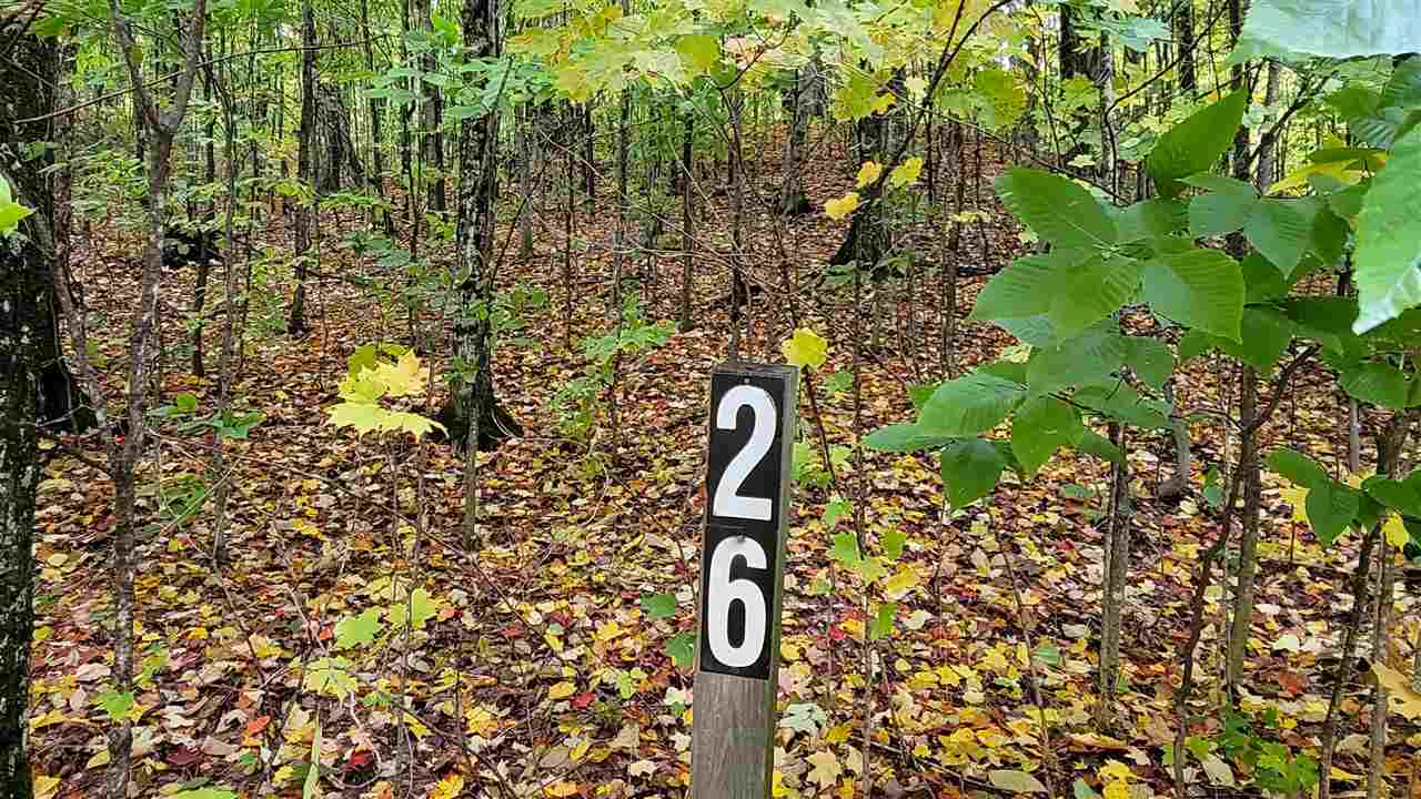 3395 Needles Drive Harbor Springs MI 49740