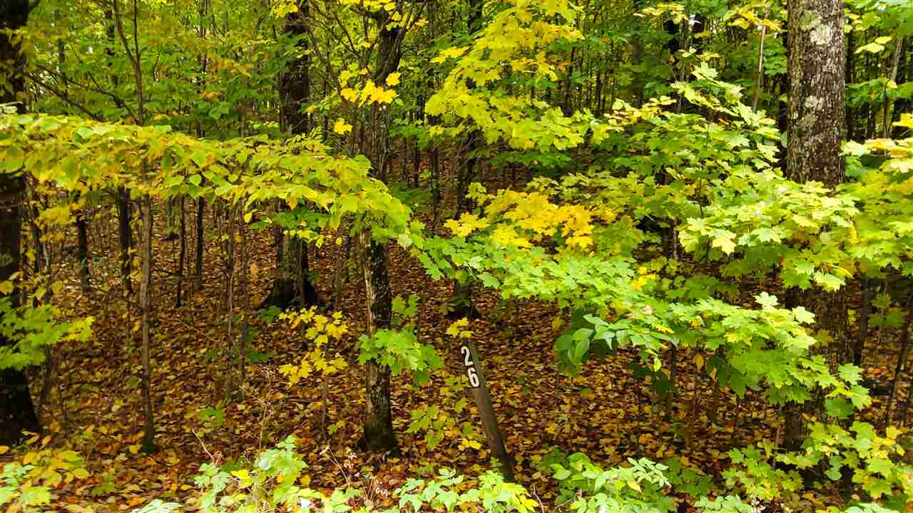 3395 Needles Drive Harbor Springs MI 49740
