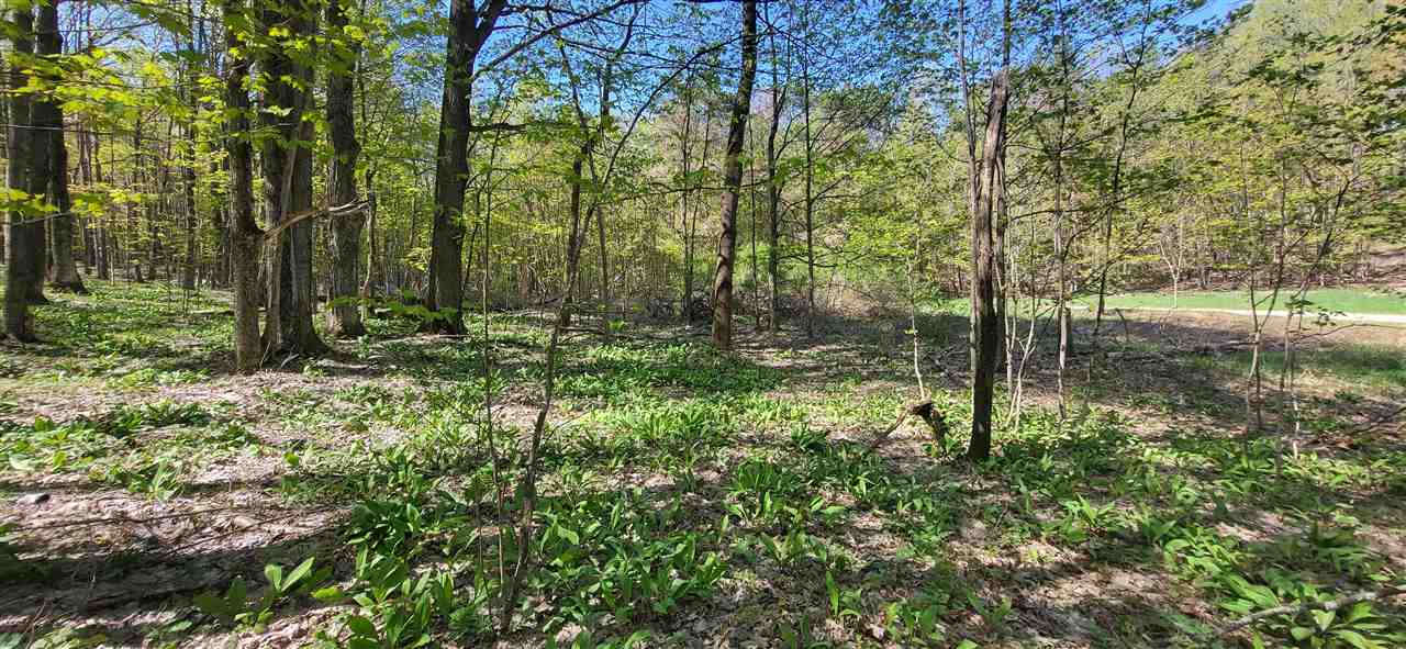 Tbd Jordan Hills Drive East Jordan MI 49727