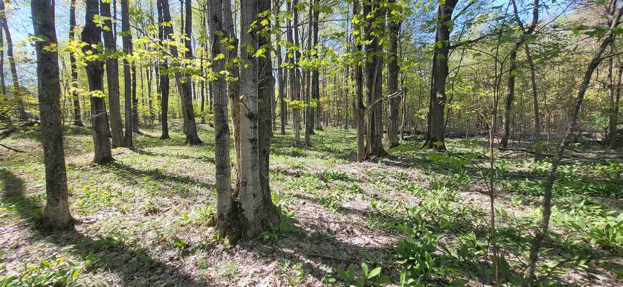 Tbd Jordan Hills Drive East Jordan MI 49727