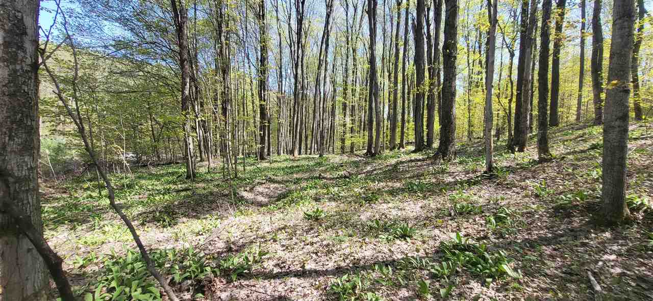 Tbd Jordan Hills Drive East Jordan MI 49727