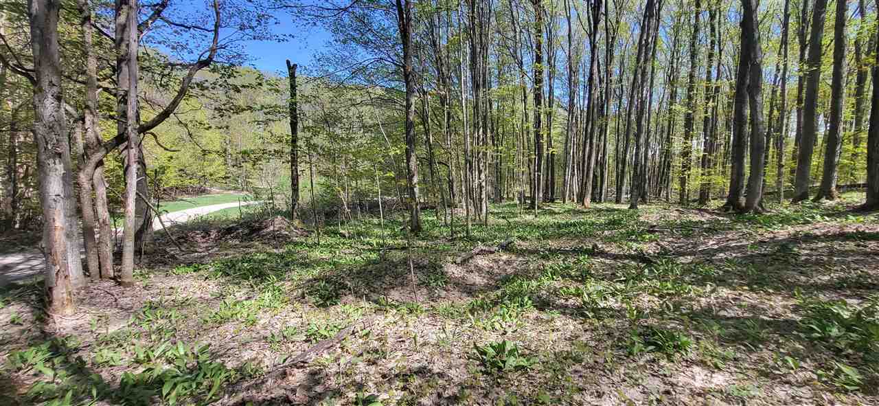 Tbd Jordan Hills Drive East Jordan MI 49727