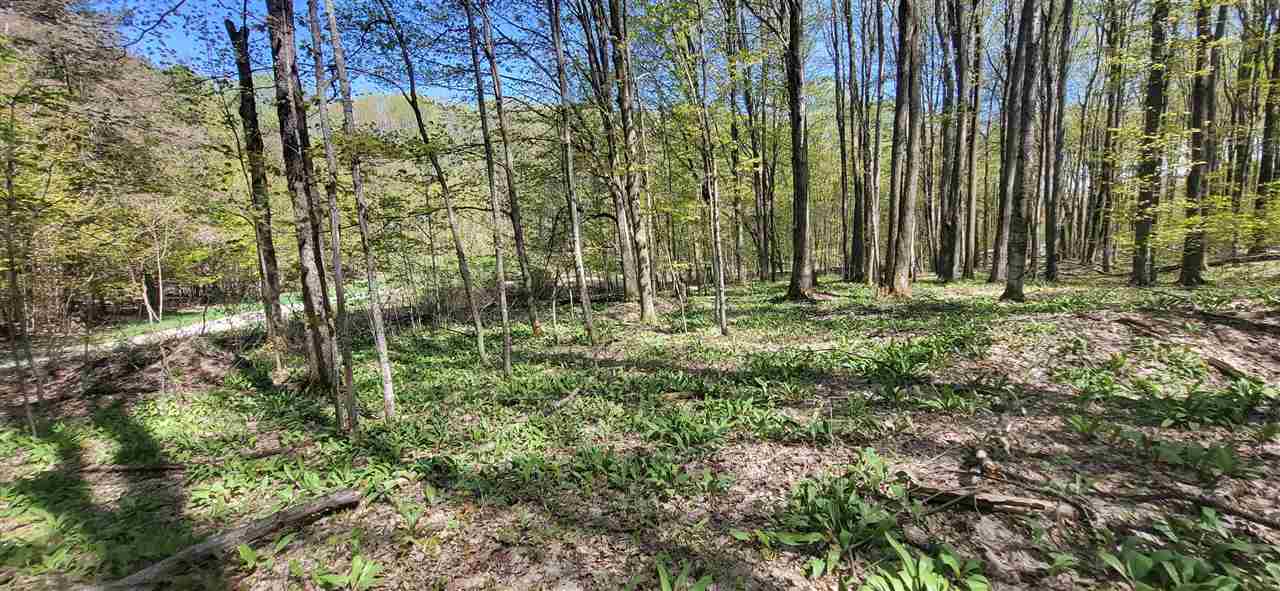 Tbd Jordan Hills Drive East Jordan MI 49727