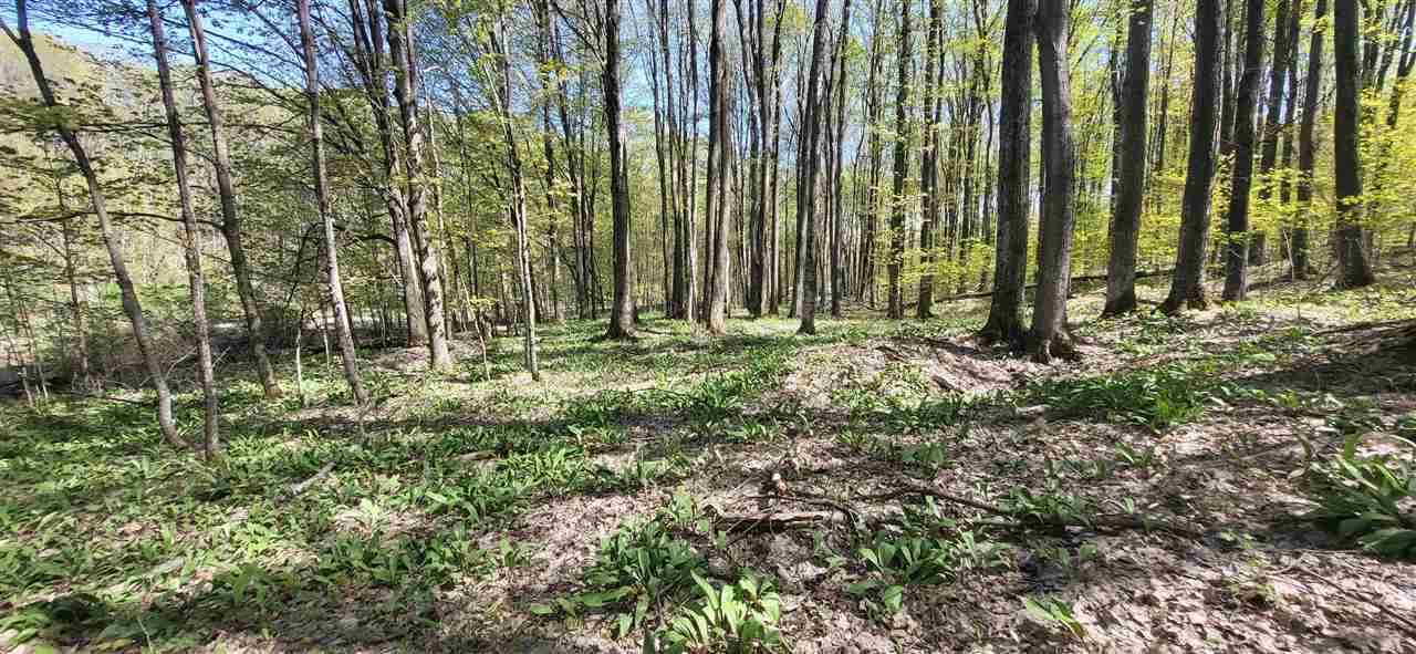 Tbd Jordan Hills Drive East Jordan MI 49727