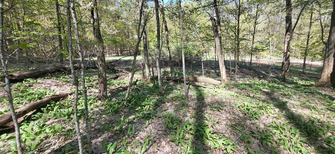 Tbd Jordan Hills Drive East Jordan MI 49727