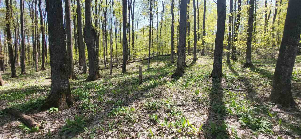 Tbd Jordan Hills Drive East Jordan MI 49727