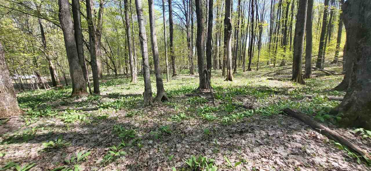 Tbd Jordan Hills Drive East Jordan MI 49727