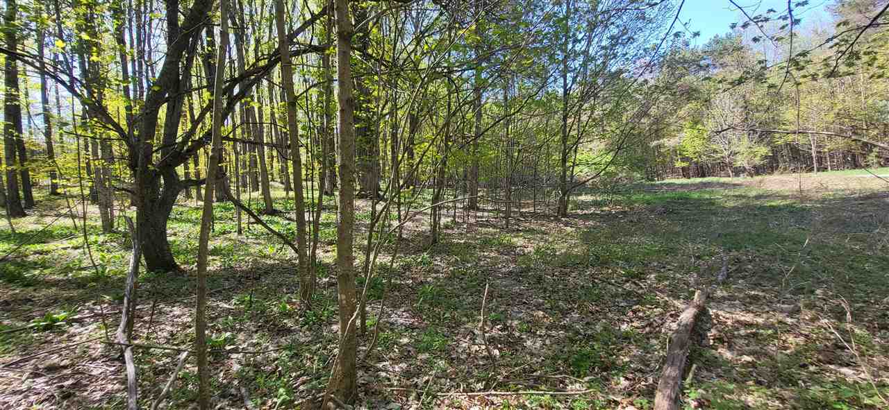 Tbd Jordan Hills Drive East Jordan MI 49727