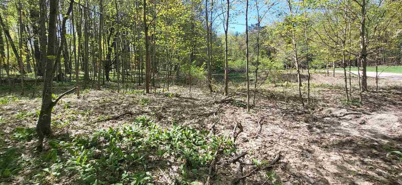 Tbd Jordan Hills Drive East Jordan MI 49727