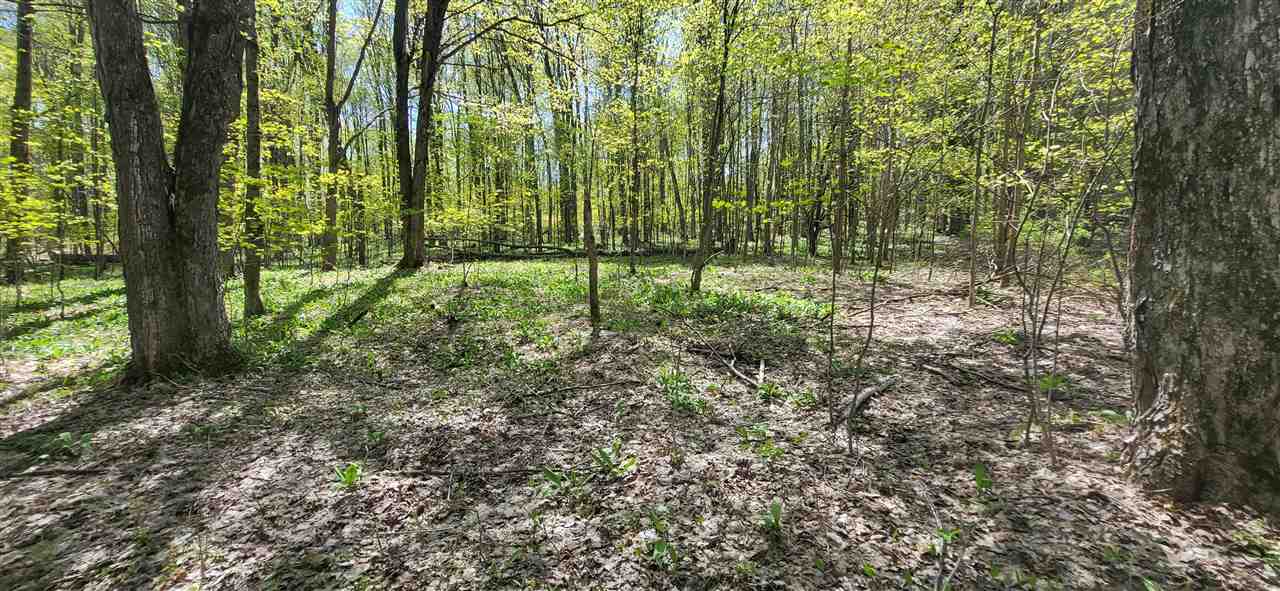 Tbd Jordan Hills Drive East Jordan MI 49727