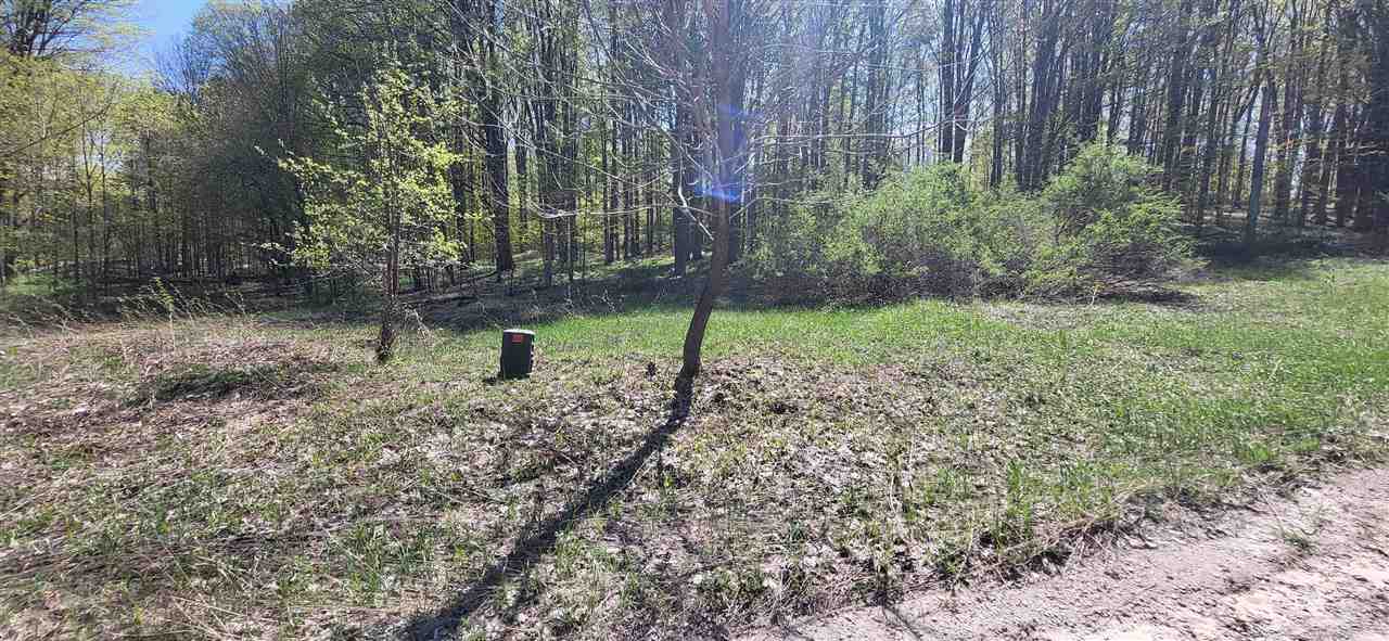 Tbd Jordan Hills Drive East Jordan MI 49727