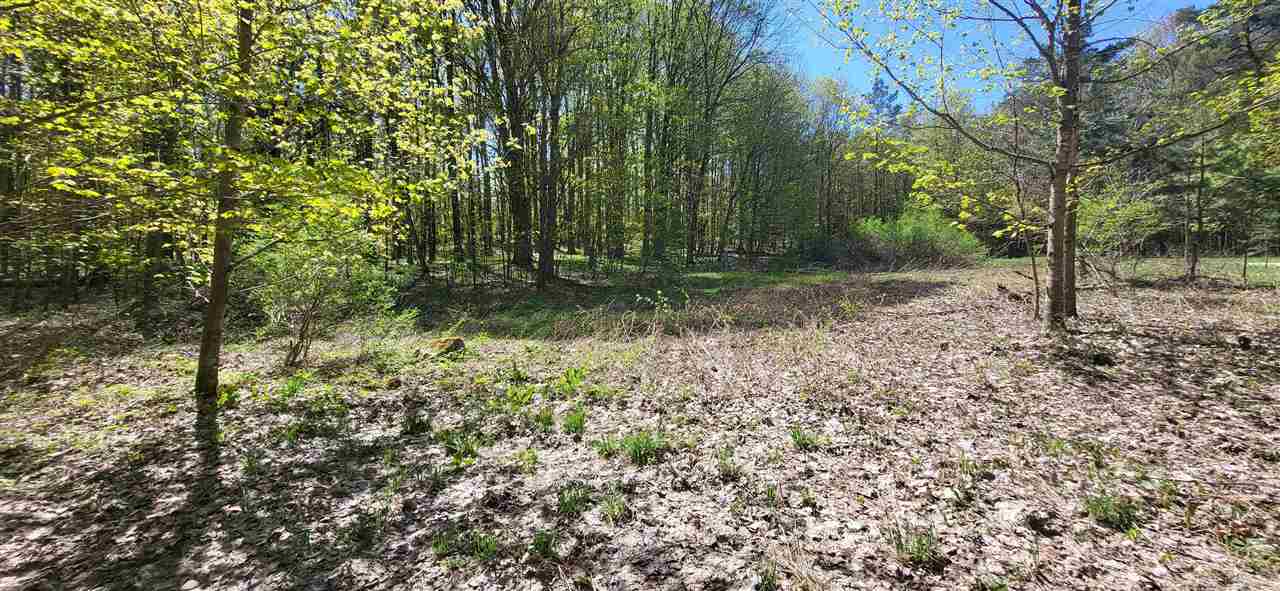 Tbd Jordan Hills Drive East Jordan MI 49727