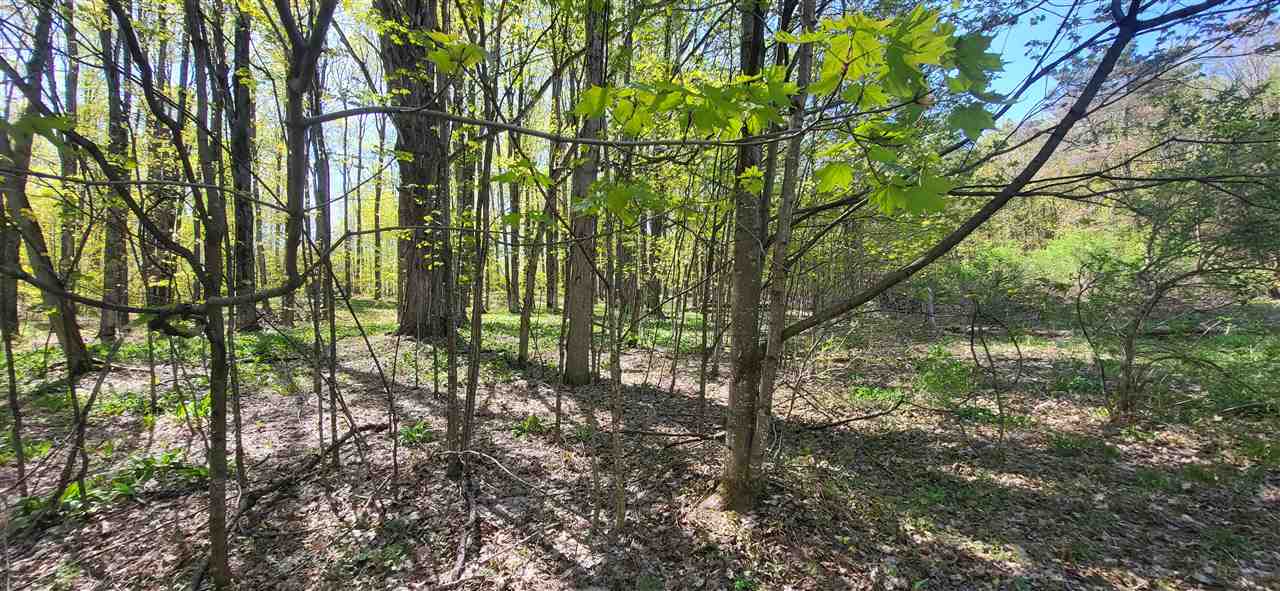 Tbd Jordan Hills Drive East Jordan MI 49727