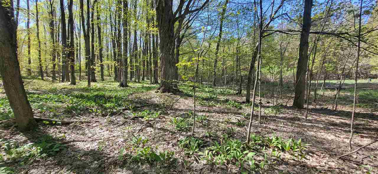 Tbd Jordan Hills Drive East Jordan MI 49727