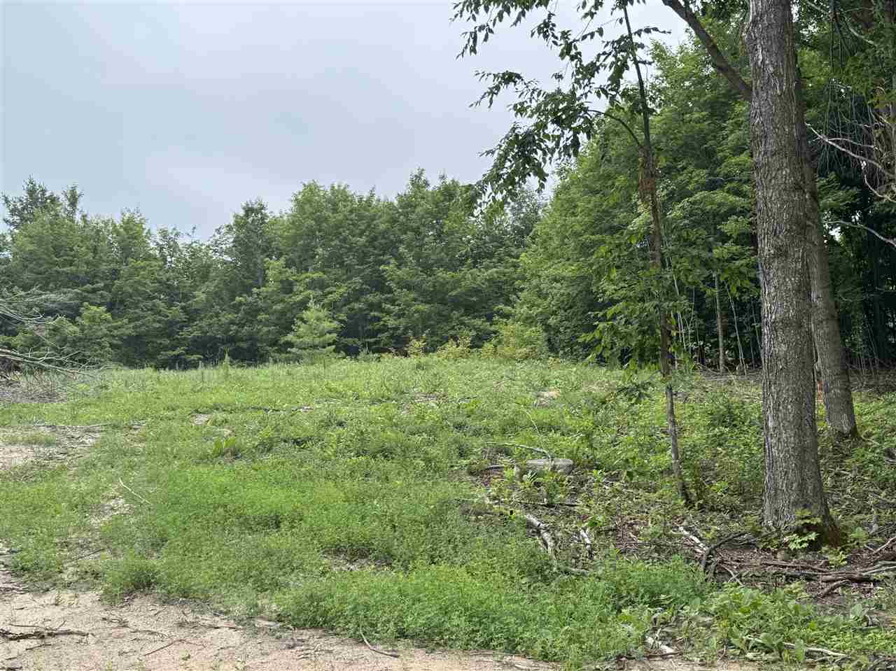Mountain View Trail Petoskey MI 49770