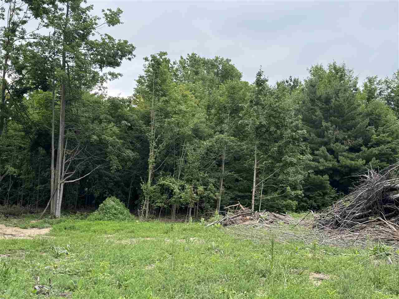 Mountain View Trail Petoskey MI 49770