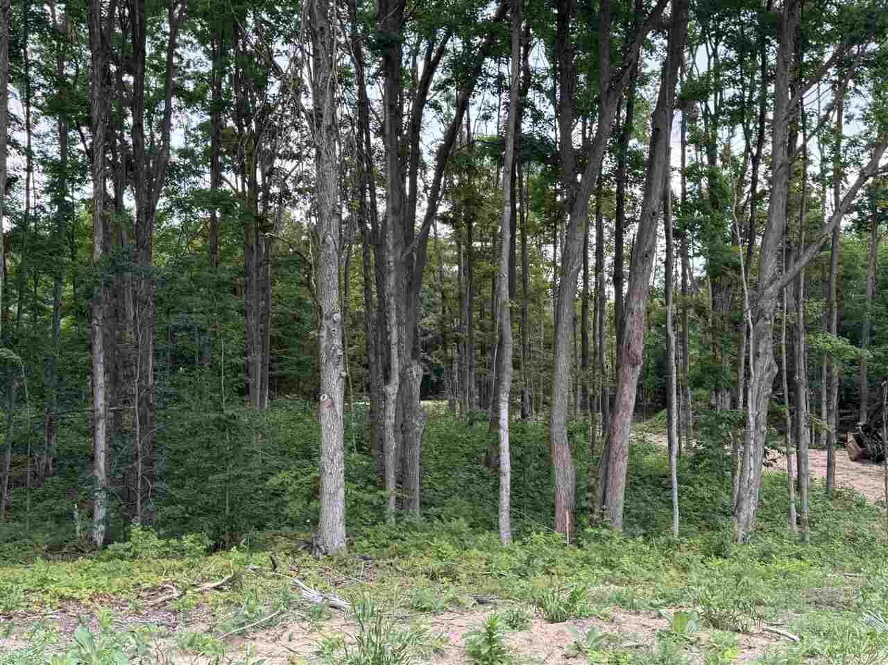 Mountain View Trail Petoskey MI 49770
