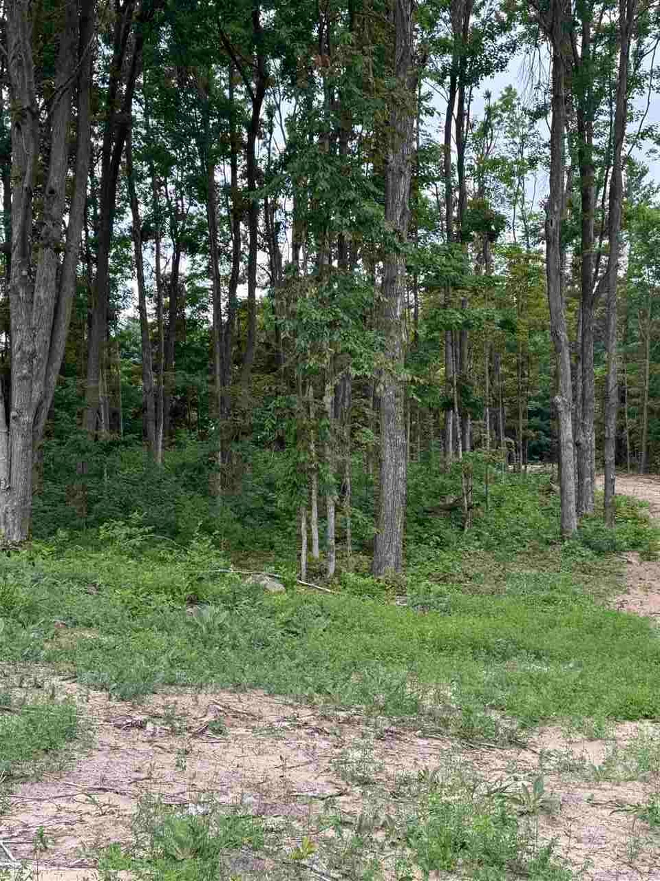 Mountain View Trail Petoskey MI 49770