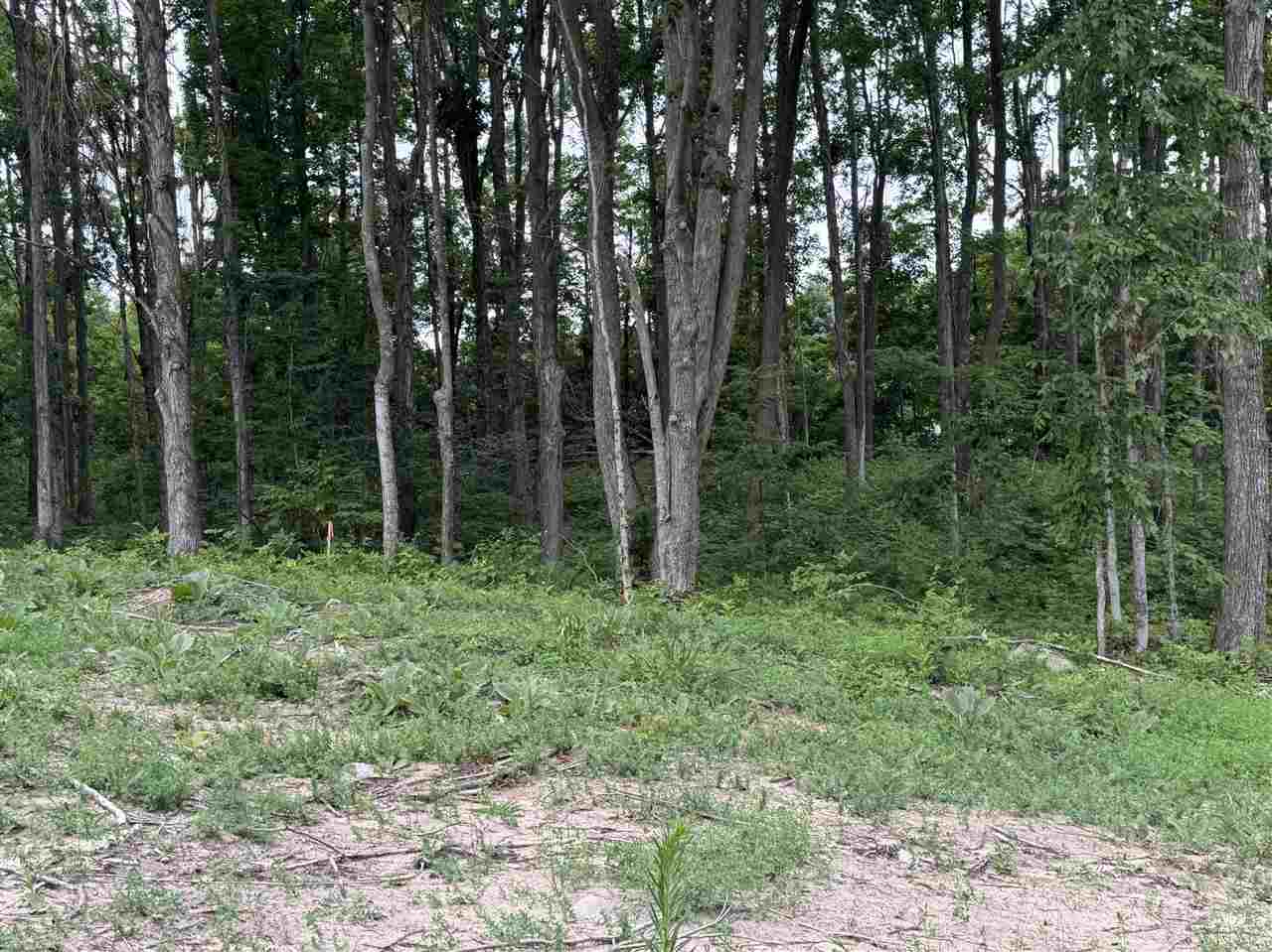 Mountain View Trail Petoskey MI 49770