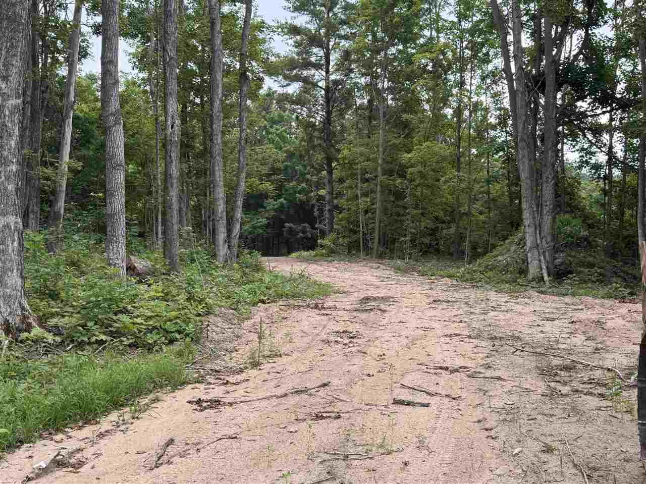 Mountain View Trail Petoskey MI 49770