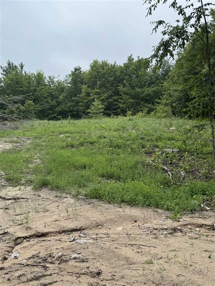 Mountain View Trail Petoskey MI 49770