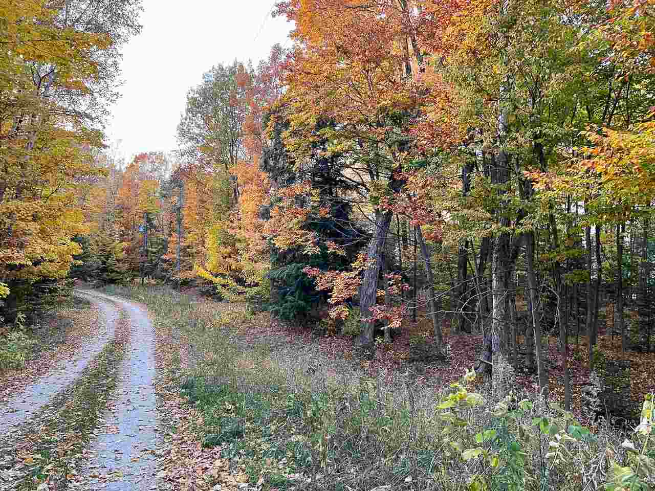 Lot 191 Lake Michigan Court Beaver Island MI 49782