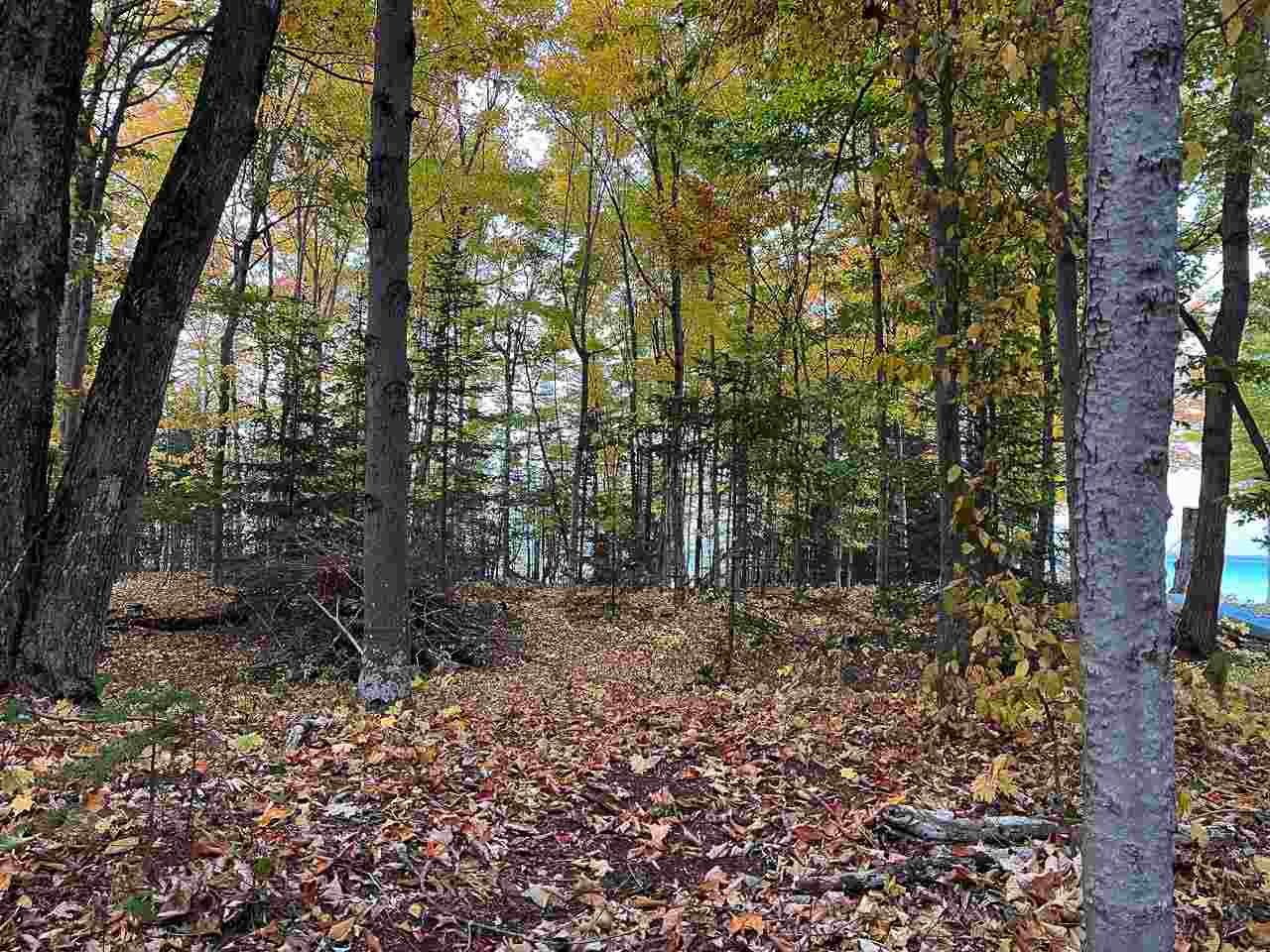 Lot 191 Lake Michigan Court Beaver Island MI 49782