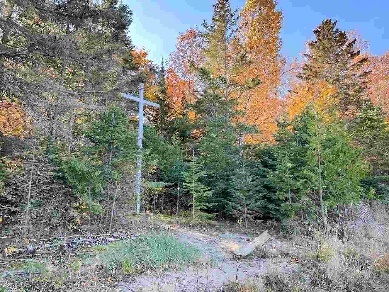 Lot 191 Lake Michigan Court Beaver Island MI 49782