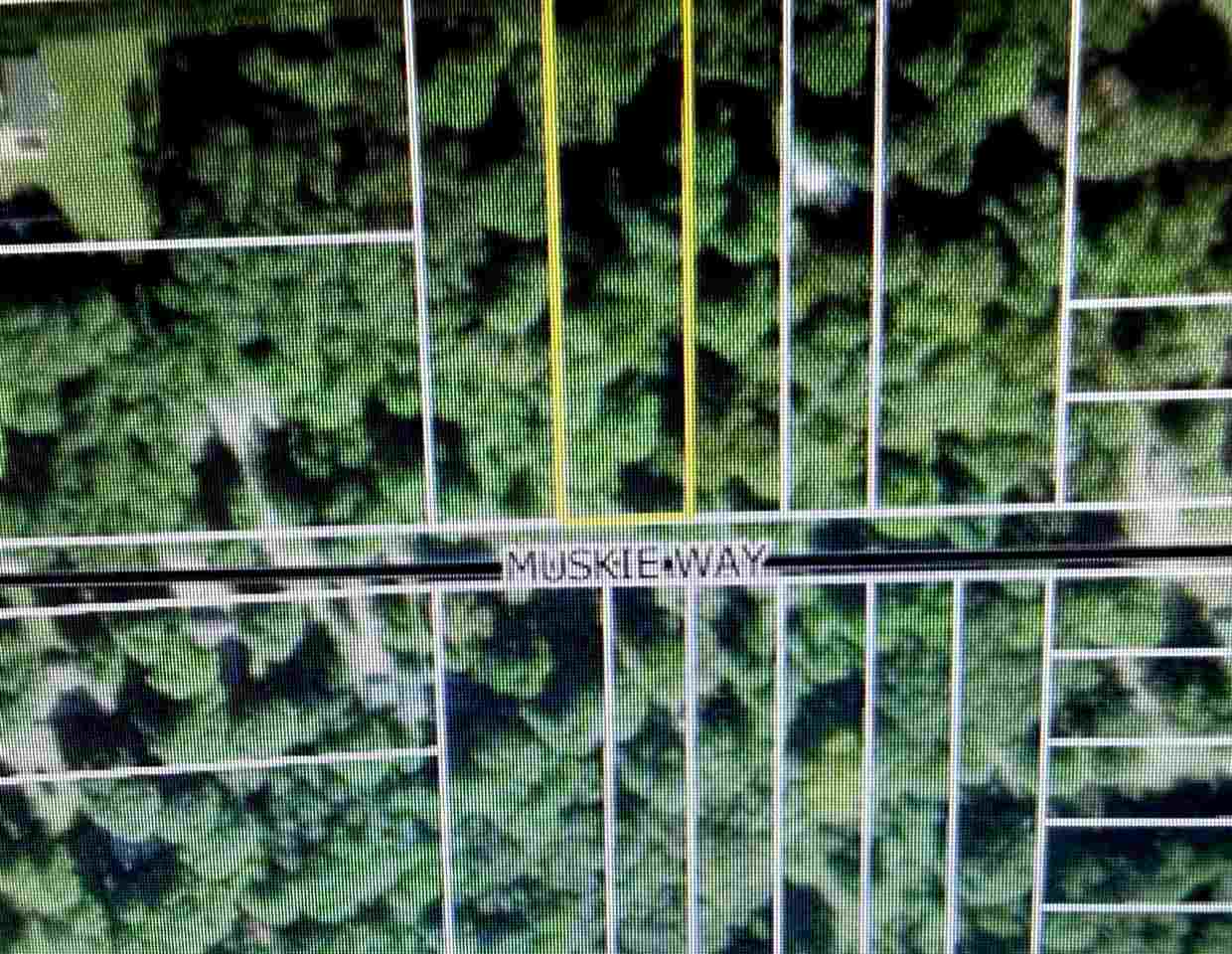 11407 Muskie Way Ellsworth MI 49729