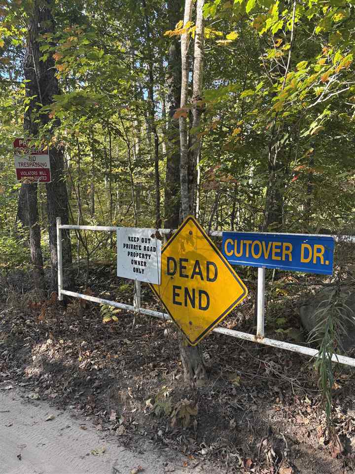Tbd Cutover Drive Elmira MI 49730