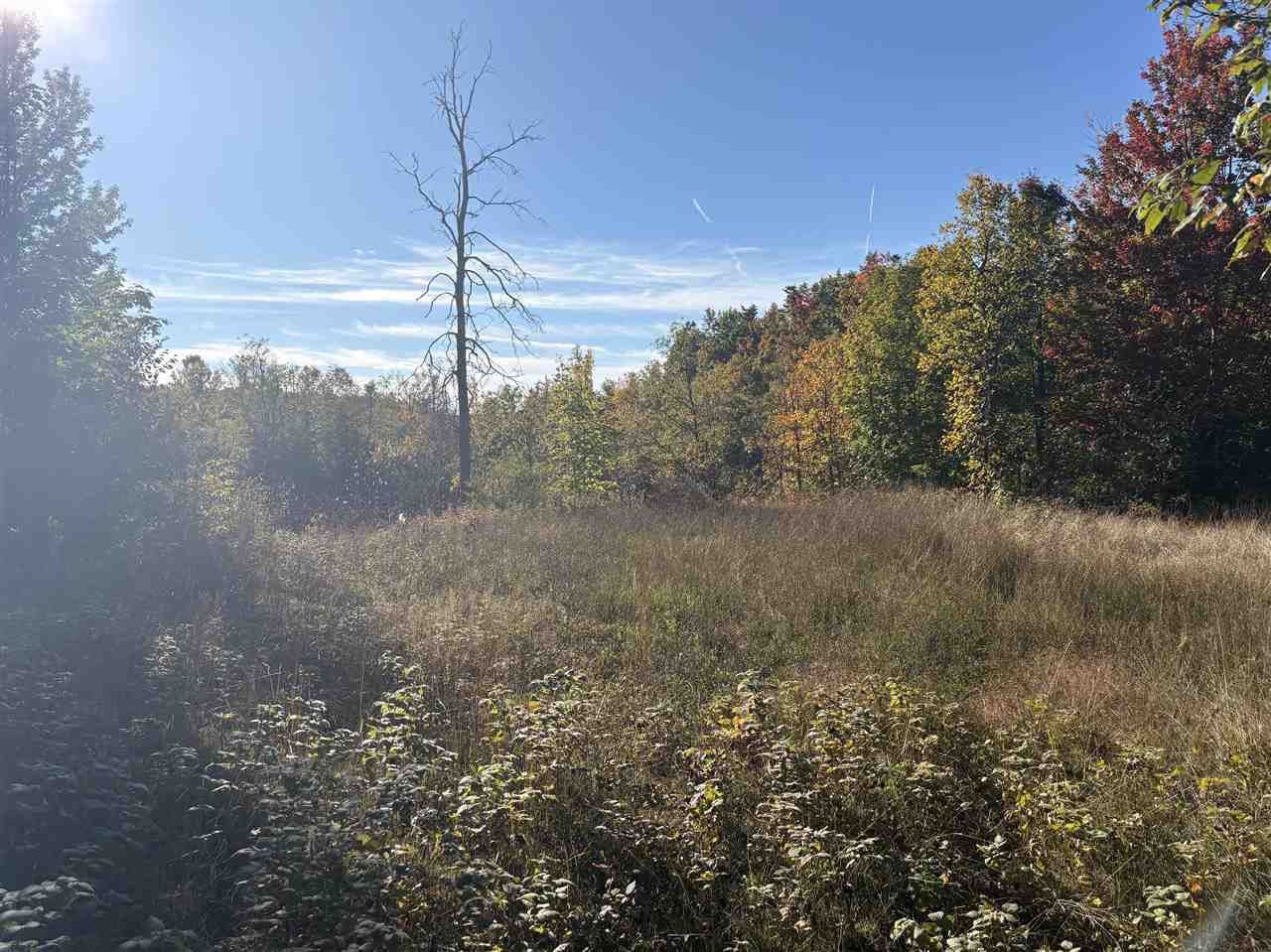 Tbd Cutover Drive Elmira MI 49730