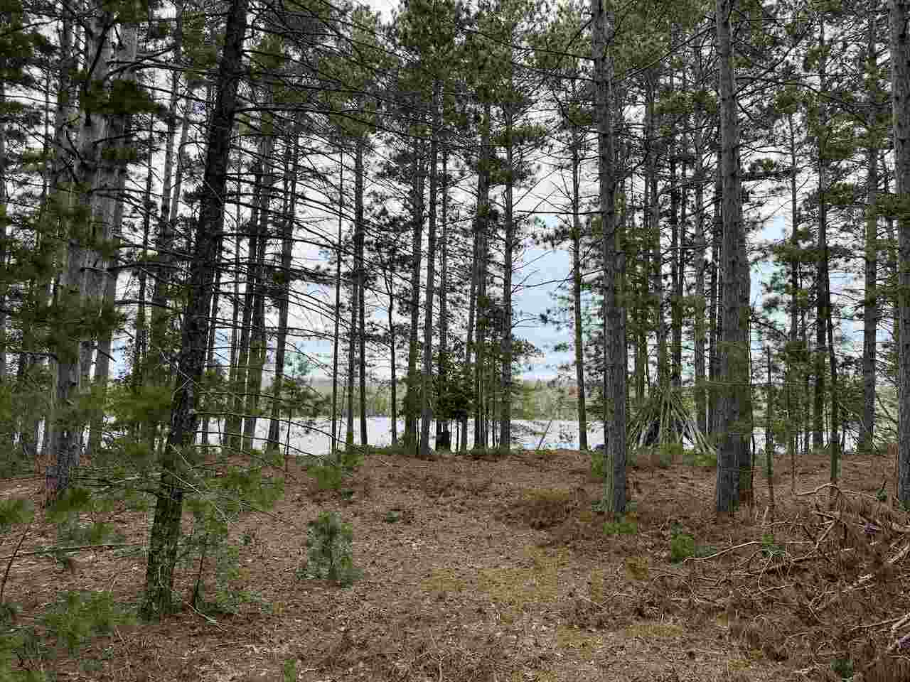 Tbd Whitetail Trail Beaver Island MI 49782-0000