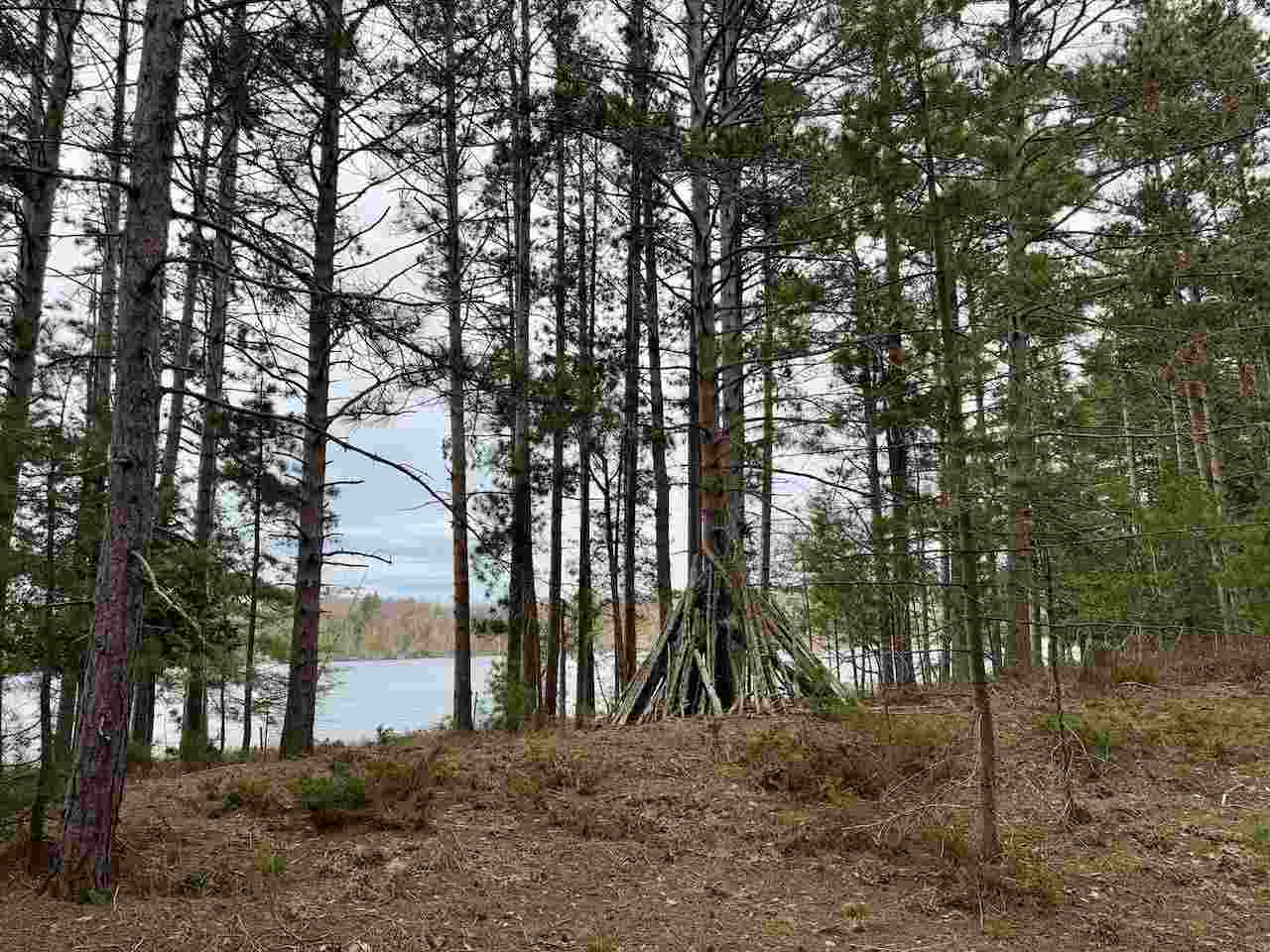 Tbd Whitetail Trail Beaver Island MI 49782-0000