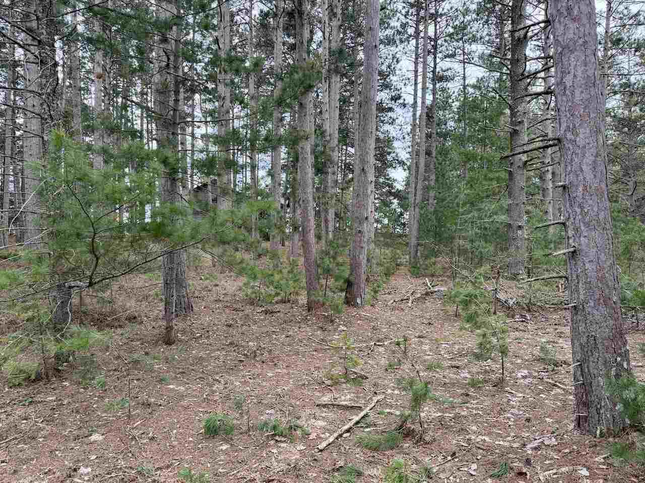 Tbd Whitetail Trail Beaver Island MI 49782-0000
