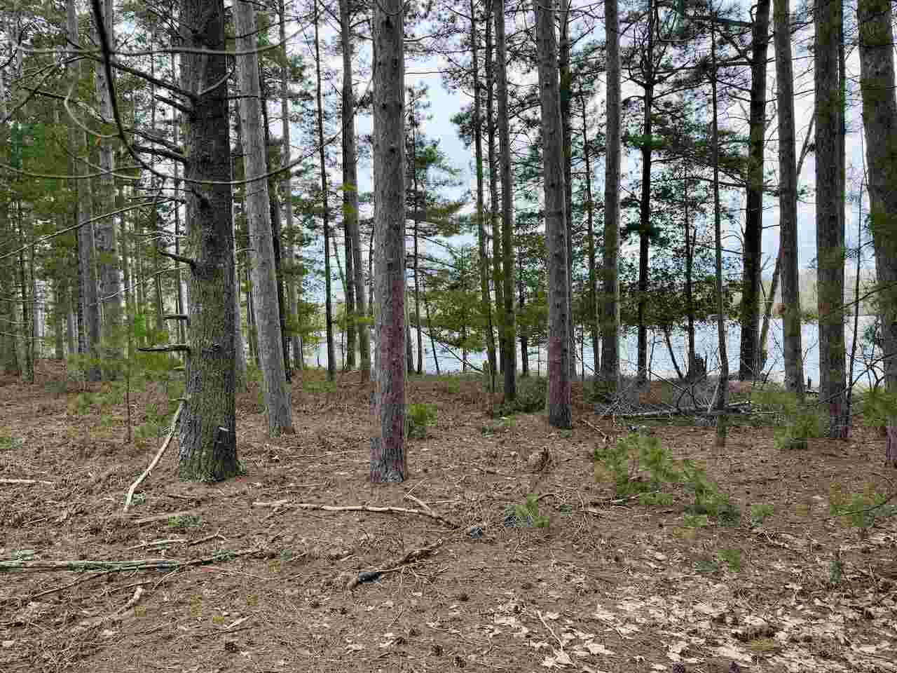 Tbd Whitetail Trail Beaver Island MI 49782-0000