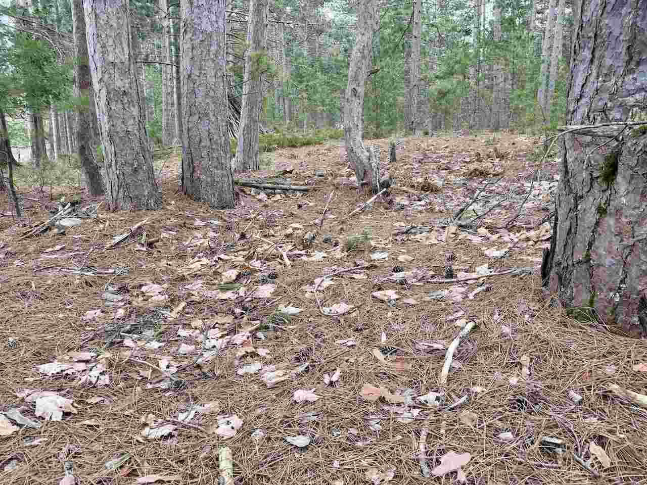 Tbd Whitetail Trail Beaver Island MI 49782-0000