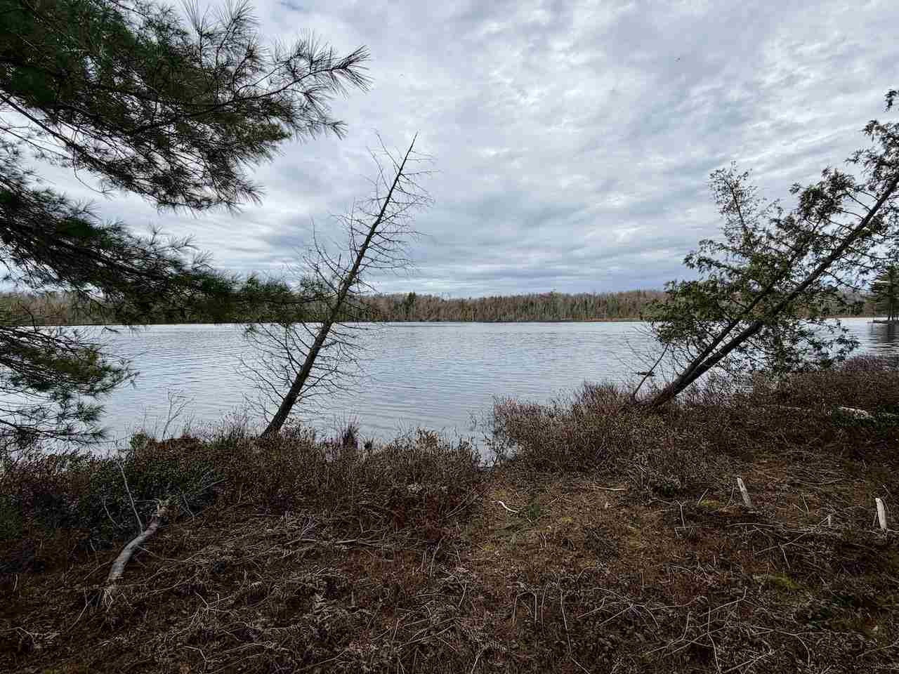Tbd Whitetail Trail Beaver Island MI 49782-0000