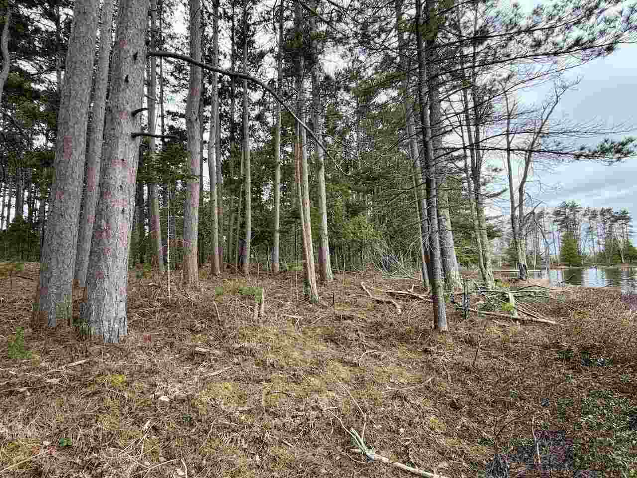 Tbd Whitetail Trail Beaver Island MI 49782-0000