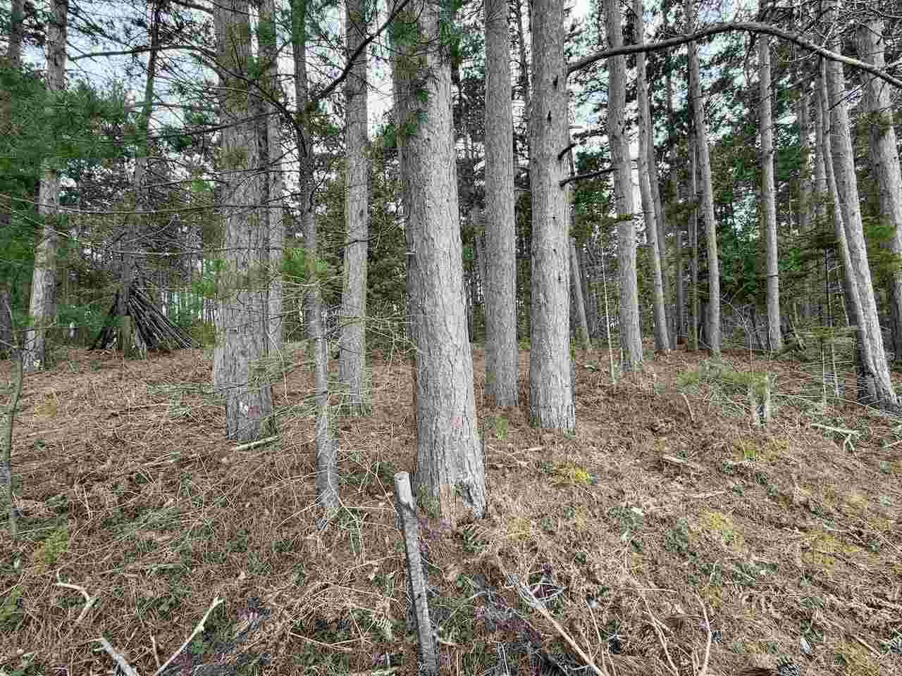 Tbd Whitetail Trail Beaver Island MI 49782-0000