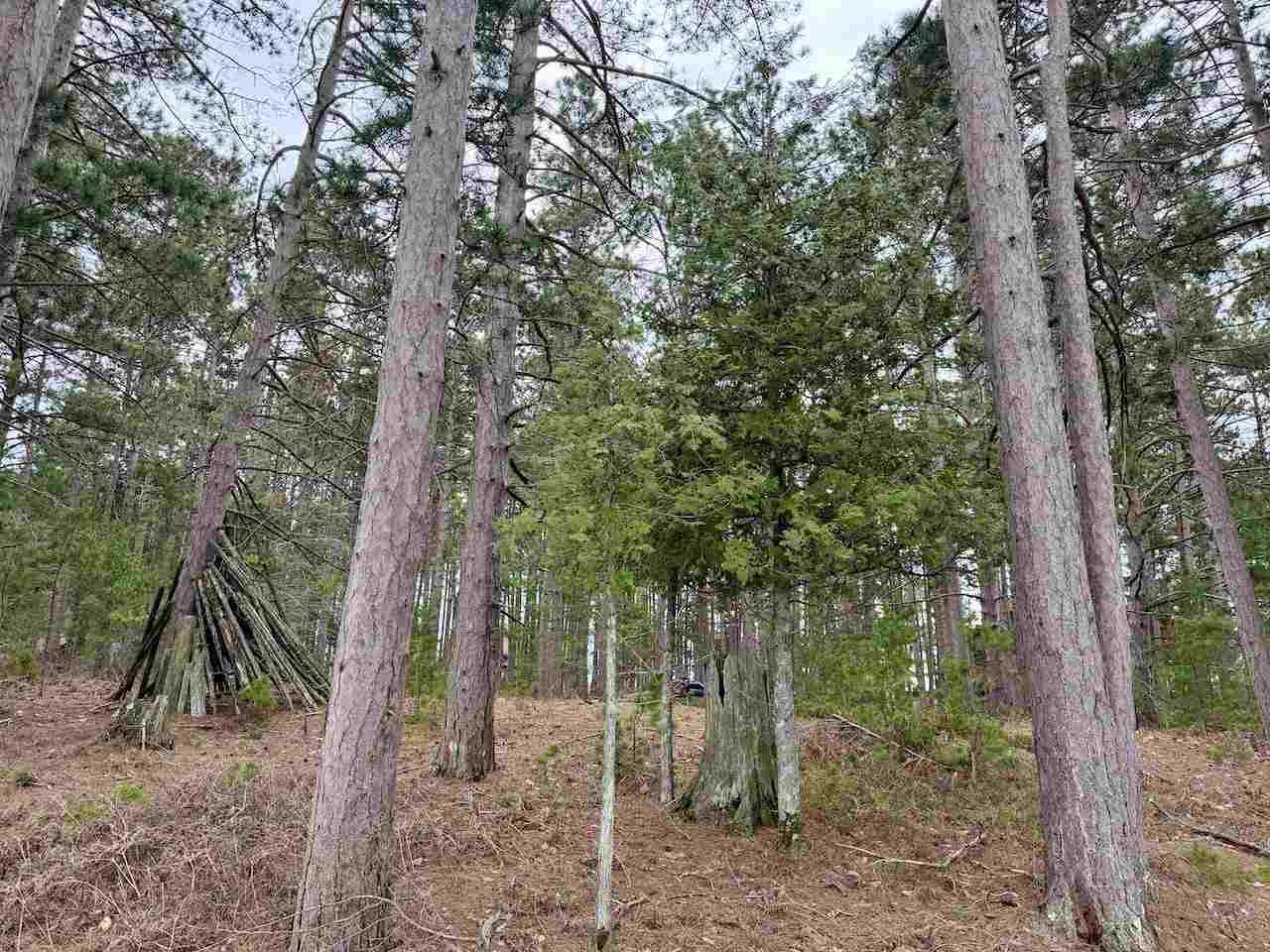 Tbd Whitetail Trail Beaver Island MI 49782-0000