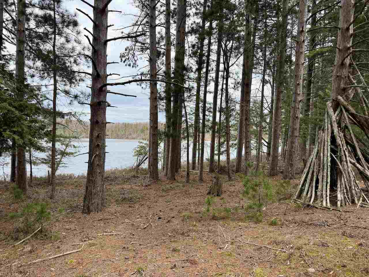 Tbd Whitetail Trail Beaver Island MI 49782-0000