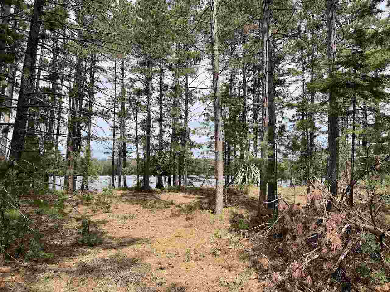 Tbd Whitetail Trail Beaver Island MI 49782-0000