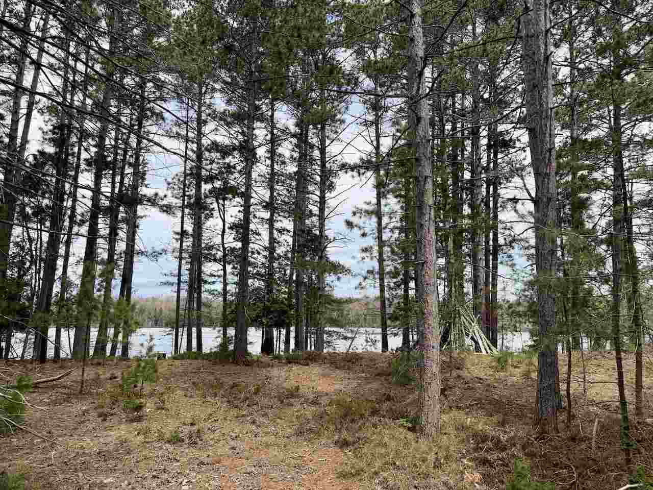 Tbd Whitetail Trail Beaver Island MI 49782-0000
