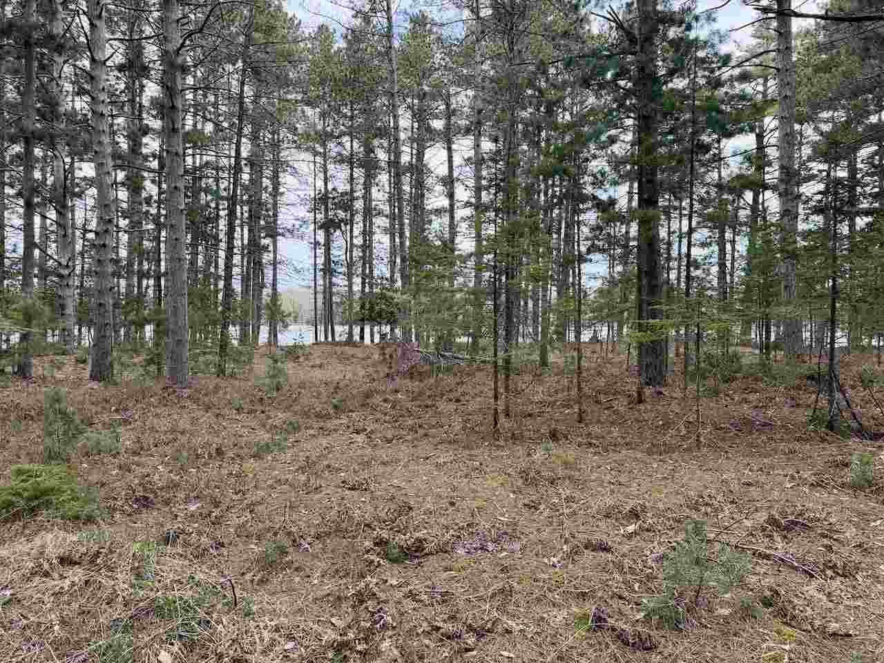 Tbd Whitetail Trail Beaver Island MI 49782-0000