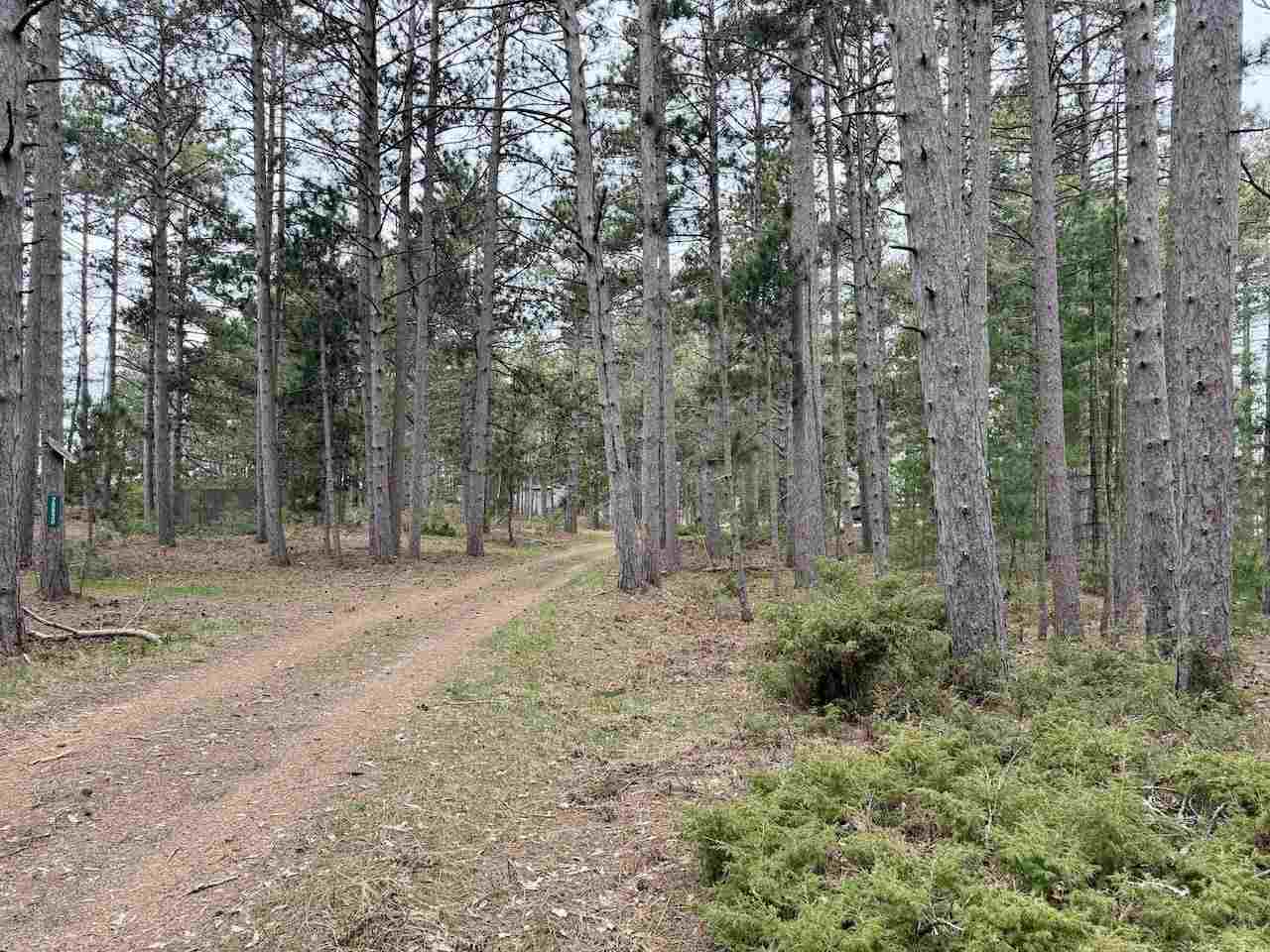 Tbd Whitetail Trail Beaver Island MI 49782-0000