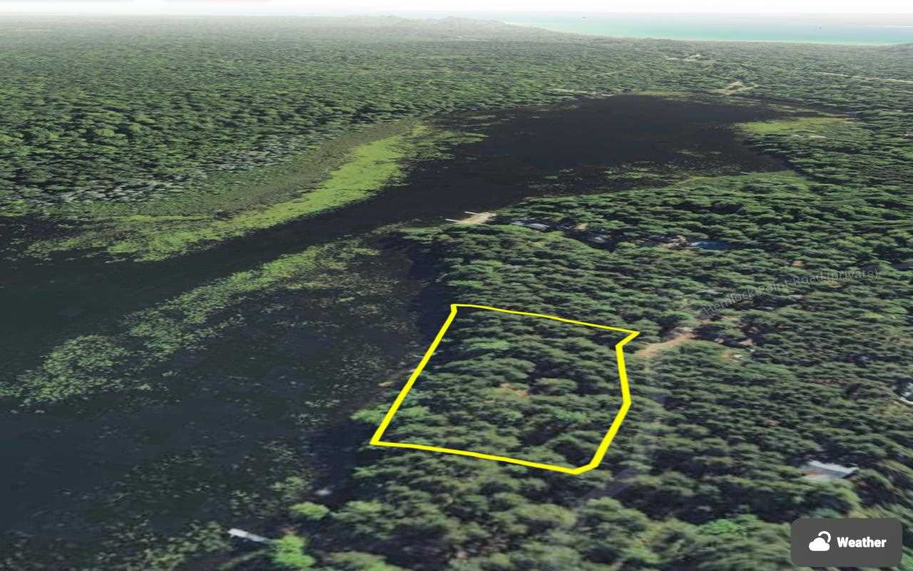 Tbd Whitetail Trail Beaver Island MI 49782-0000