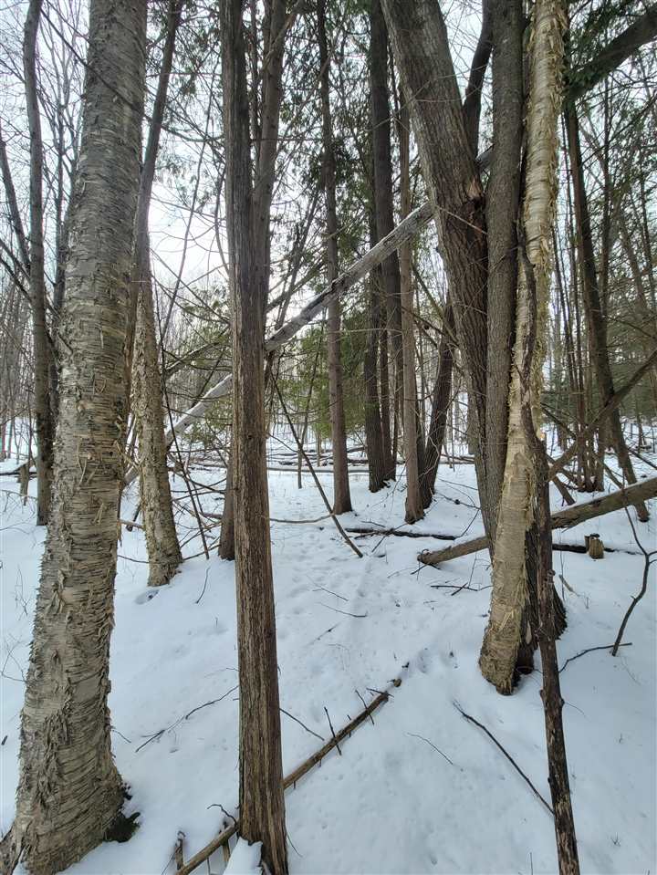 Tbd Dietz Road Boyne City MI 49712