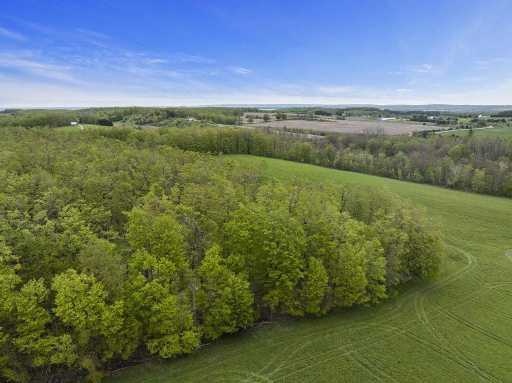 15210 Ferry Road Charlevoix MI 49720