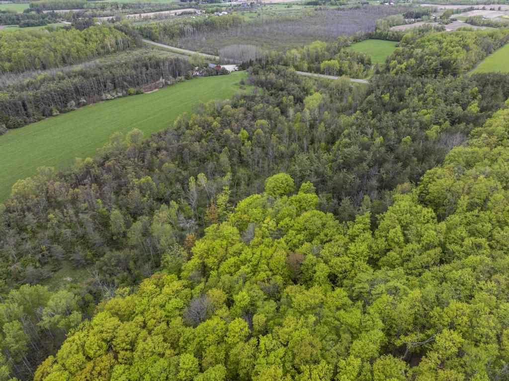 15210 Ferry Road Charlevoix MI 49720