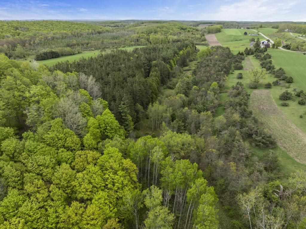 15210 Ferry Road Charlevoix MI 49720